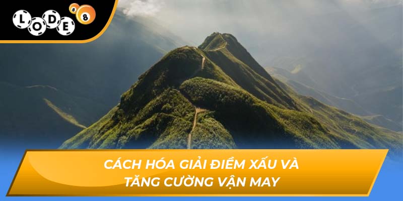 mơ thấy rừng núi