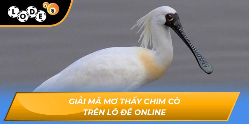 Mơ thấy chim cò