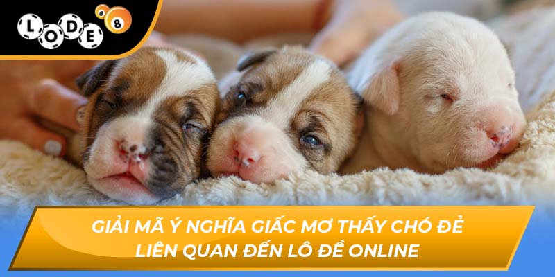 mơ thấy chó đẻ