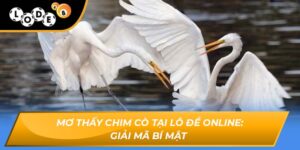 Mơ thấy chim cò