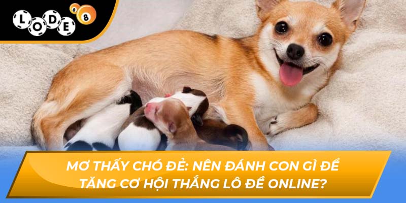 mơ thấy chó đẻ